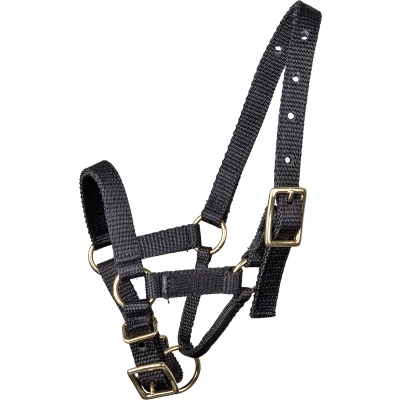 Afbeelding van Alpaca Halter L