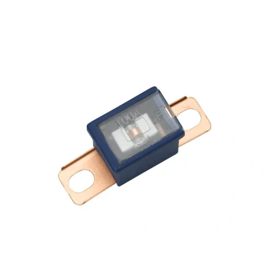 Afbeelding van HELLA 8JS 740 026 561 CS zekeringinzetstuk 100 A, blauw