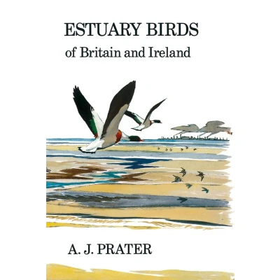Afbeelding van Estuary Birds of Britain and Ireland