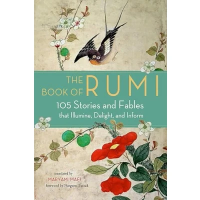 Afbeelding van The Book of Rumi
