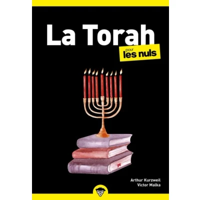 Image de La Torah pour les Nuls, poche