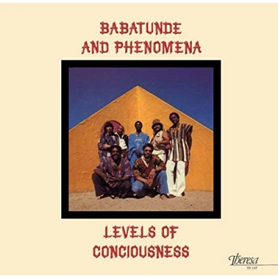 Afbeelding van Babatunde &amp; Phenomena Levels Of Consciousness (LP)