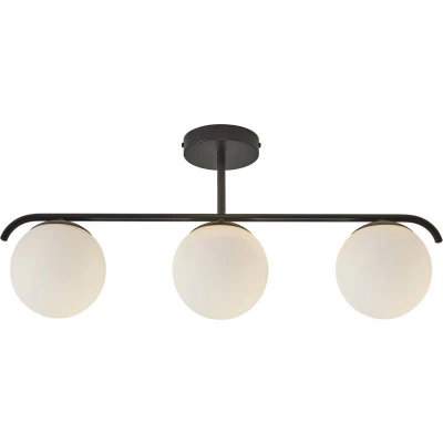Afbeelding van Nordlux Grant Plafondlamp Zwart E14