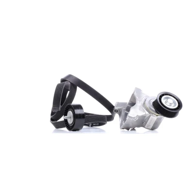 Afbeelding van Ina Poly V riemen kit 529 0007 10
