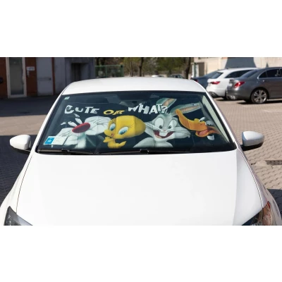 Afbeelding van Parasol Looney Tunes