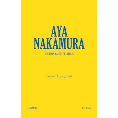Afbeelding van Aya Nakamura, dictionnaire critique