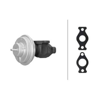 Afbeelding van HELLA 6NU 014 865 681 EGR klep Pneumatisch met afdichtringen HYUNDAI: Tucson, Getz
