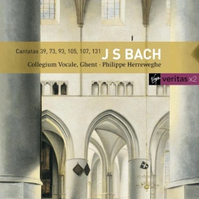 Afbeelding van Bach : Cantatas