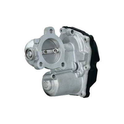 Afbeelding van HELLA 6NU 014 864 991 EGR klep Electrisch Zonder pakking Regelaar / Software moet nog worden aangeleerd/geüpdate VOLKSWAGEN: Sharan II, Tiguan I