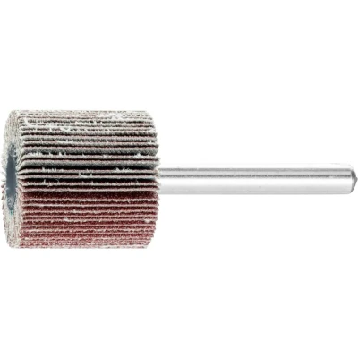 Afbeelding van PFERD 44410156 Lamellenschijf Diameter 25 mm 10 stuk(s)
