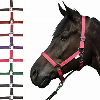 Afbeelding van HKM Halster Stars Economy Donkerblauw Pony
