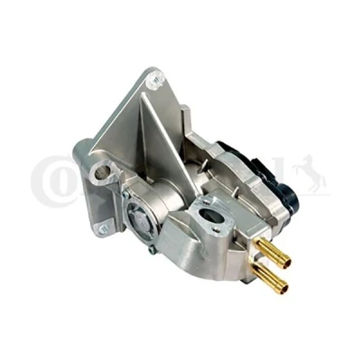 Afbeelding van Vdo EGR klep 408 265 001 002Z