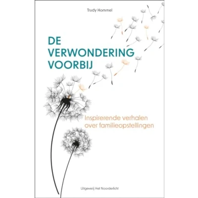Afbeelding van De verwondering voorbij