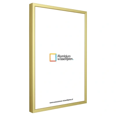 Afbeelding van Sion A0 cm champagne goud