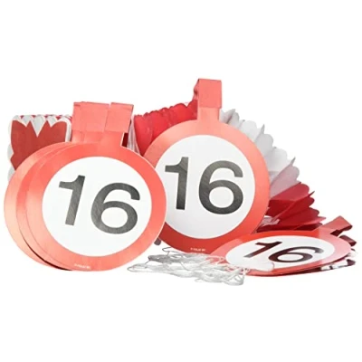 Afbeelding van Slinger Verkeersbord 16 jaar met onderhanger