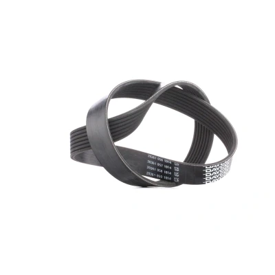 Afbeelding van Poly V riem DAYCO 7PK880