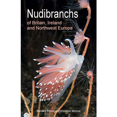 Afbeelding van Nudibranchs of Britain, Ireland and Northwest Europe