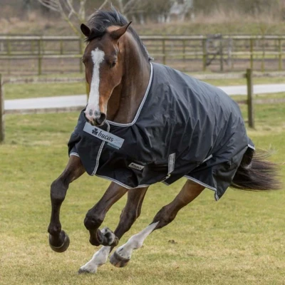 Afbeelding van Bucas Anniversary Turnout Light SD 0g Black/Silver 155/206 155/208 Agradi.be