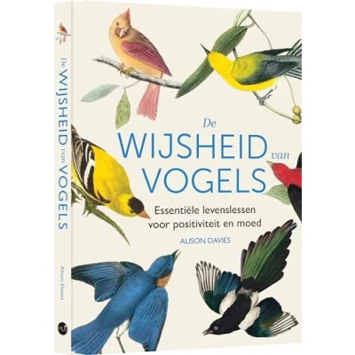 Afbeelding van De wijsheid van vogels