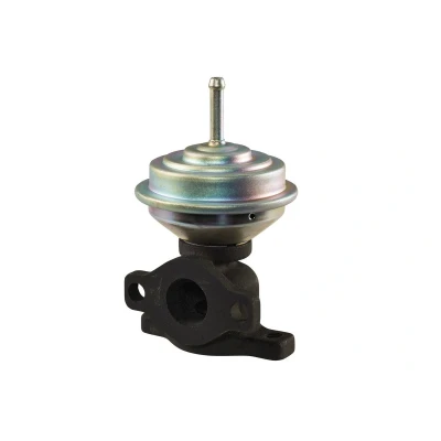 Afbeelding van Hella EGR klep 6NU 010 171 411