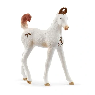 Afbeelding van schleich 14896 Poulain Marwari, vanaf 5 jaar, Horse Club figuur, 8 x 7 cm