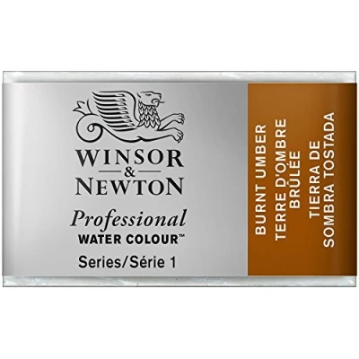 Afbeelding van Winsor &amp; Newton Professionele aquarelverf Aquarelverf, hoge helderheid, lichtecht, archiefkwaliteit, emmer, barnsteen kleur