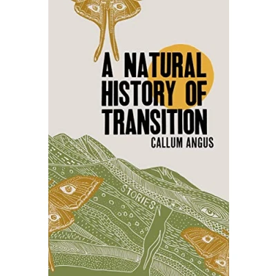 Afbeelding van A Natural History of Transition