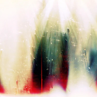 Afbeelding van War On Drugs Future Weather