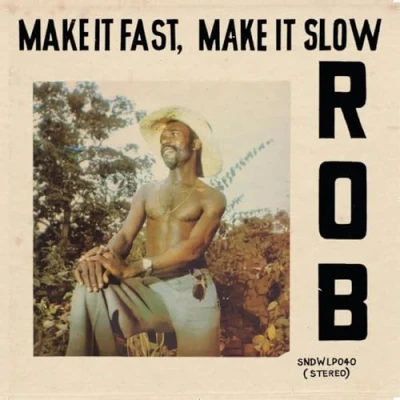 Afbeelding van Make It Fast, Slow (LP)