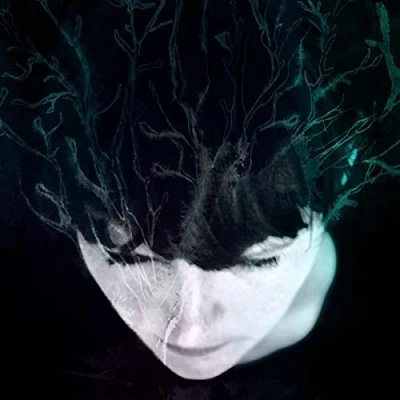 Afbeelding van Hanne Kolsto While We Still Have Light (LP)