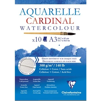 Image de Bloc Papier Aquarelle Cardinal 300 g 29,7 x 42 cm 10 feuilles
