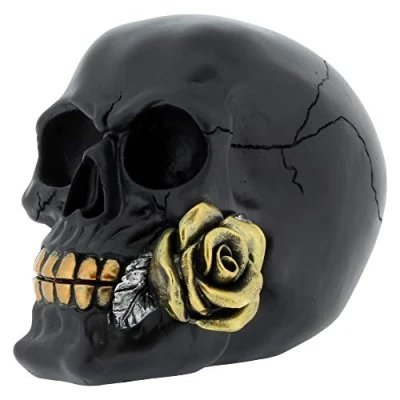 Afbeelding van Nemesis Now Black Rose from the Dead Skull 15cm