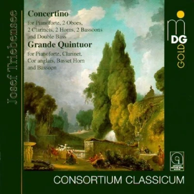 Afbeelding van Werner Genuit, Consortium Classicum Triebensee: Concertino/Grand Quintuor (CD)