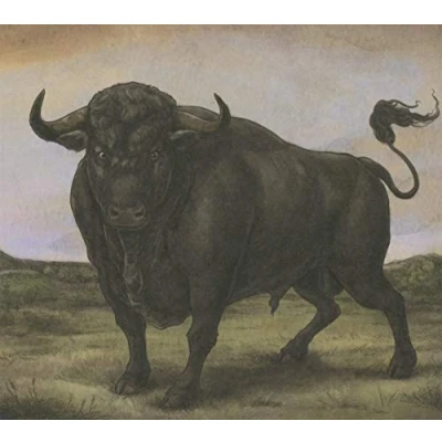 Afbeelding van San Fermin