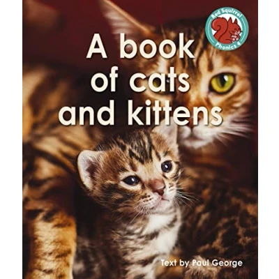 Afbeelding van A book of cats and kittens