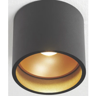 Afbeelding van Artdelight Plafondlamp Ormond Zwart / Goud LED 7W 2700K IP54 Dimbaar