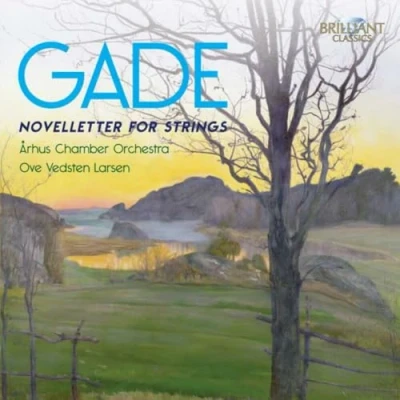 Afbeelding van Arhus Chamber Orchestra Gade, Novelletter For Strings (CD)