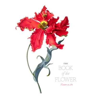 Image de the Book of Flower Flowers in Art /anglais