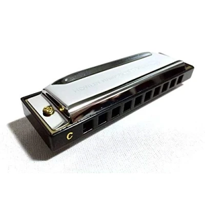 Afbeelding van Stagg blues mondharmonica diatonisch (C majeur) 10 gaten