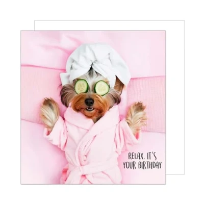 Afbeelding van Edition Seidel GQ294 SW024 Hoogwaardige vierkante verjaardagskaart met envelop, Happy Birthday biljet Duitse spreuk, voor vrouwen, vriendin, ontspannende hond
