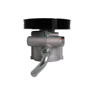 Afbeelding van Lauber Servopomp 55.5082
