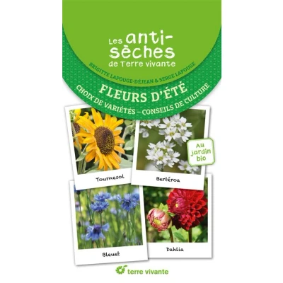 Image de Les antisèches de Terre vivante : Fleurs d&#039;été