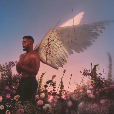 Afbeelding van Slimane Chroniques D&#039;un Cupidon (CD) (Limited Edition)