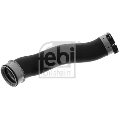 Afbeelding van Laadluchtslang FEBI BILSTEIN 100431