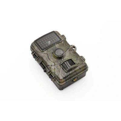 Afbeelding van TX 256