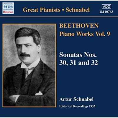Afbeelding van Artur Schnabel Piano Works 9 (CD)