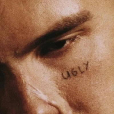 Afbeelding van Slowthai Ugly LP Unisex gekleurd