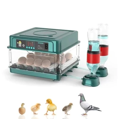 Afbeelding van automatische broedmachine, incubator 24/36 met automatisch flip systeem en temperatuurregeling, geschikt voor kippeneieren, kwarteleitjes (15 eieren)
