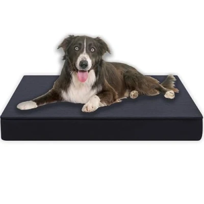 Afbeelding van MyBestBuddy Hoogwaardig orthopedisch kussen met 8 cm volledig schuimkern, grijs, 80 x 60 cm, maat L, hondenmat stoffen overtrek, wasbaar op 40 C, geschikt voor