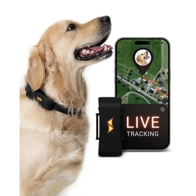 Afbeelding van PAJ GPS tracker voor honden 4G Wegloopalarmen + Wereldwijde live tracking Tot 10 dagen batterijbesparingsmodus Hond terugroepen Met verlichte LED&#039;s Past op elke halsband Zwart